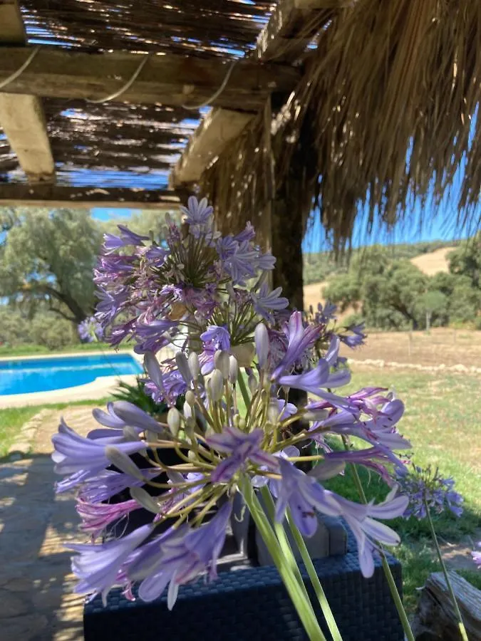 Finca Las Encinas 龙达 别墅