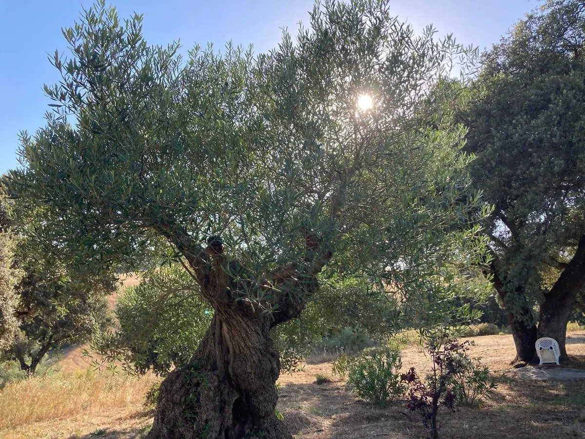 Finca Las Encinas 龙达