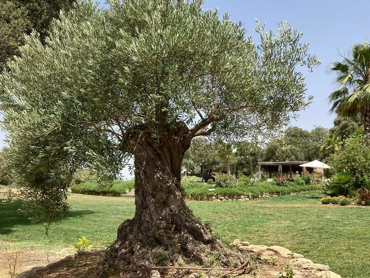 ヴィラ Finca Las Encinas ロンダ