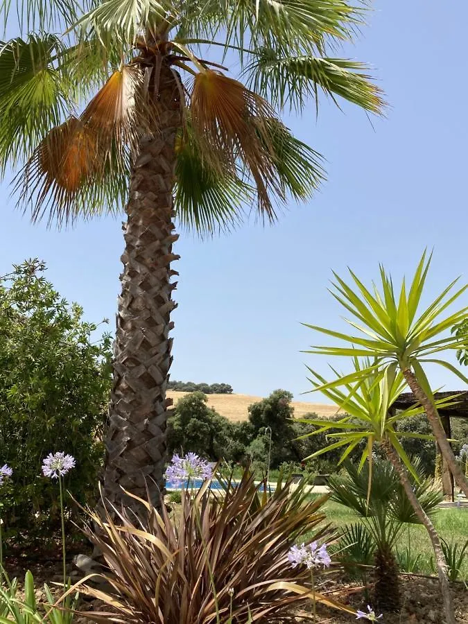 Finca Las Encinas ロンダ ヴィラ