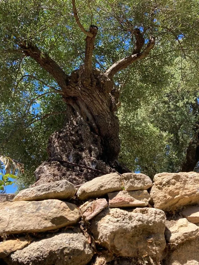 Finca Las Encinas ロンダ